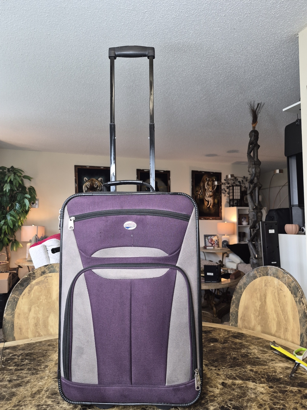 American Tourister Zoom Softside Expandable Handle Carry On Luggage 21x15"x7"

T
